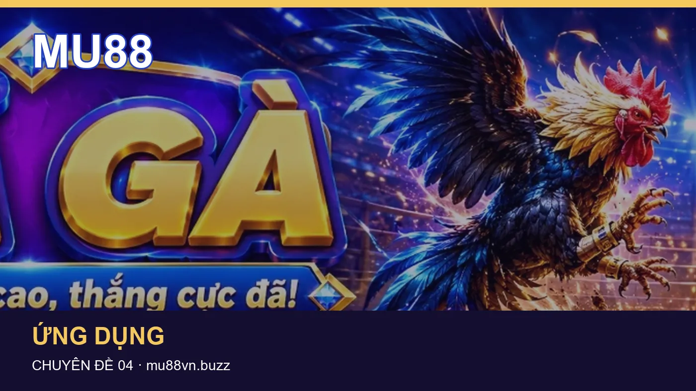 Những nhầm lẫn thường gặp khi đọc nội dung Tổng quan trên MU88