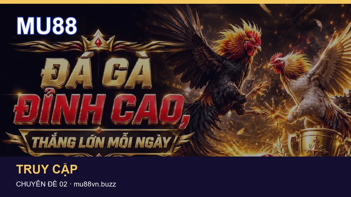 Hỏi đáp về Ứng dụng: quy trình tự kiểm tra trên MU88
